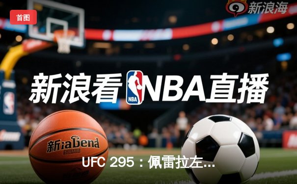 UFC 295：佩雷拉左勾拳KO普罗哈兹卡，闪电夺魁轻重量级王座