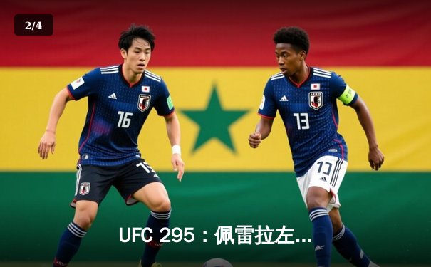 UFC 295：佩雷拉左勾拳KO普罗哈兹卡，闪电夺魁轻重量级王座 - 2