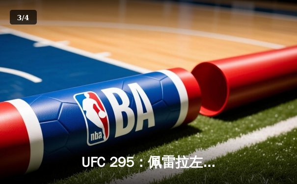 UFC 295：佩雷拉左勾拳KO普罗哈兹卡，闪电夺魁轻重量级王座 - 3