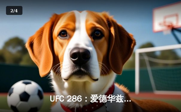 UFC 286：爱德华兹三番战险胜乌斯曼，成功卫冕次中量级金腰带 - 2