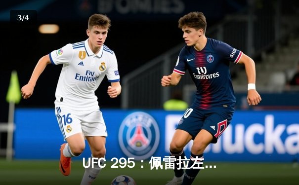 UFC 295：佩雷拉左勾拳终结普罗哈兹卡 重夺轻重量级金腰带 - 3