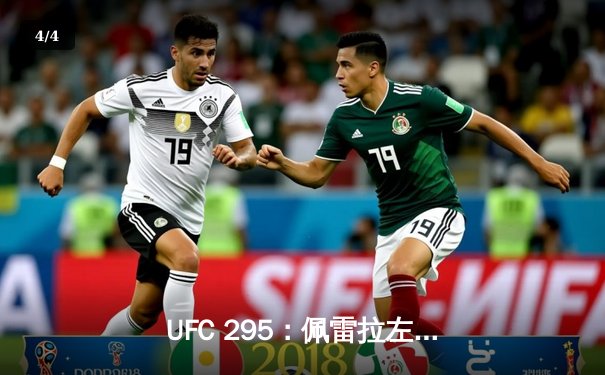 UFC 295：佩雷拉左勾拳终结普罗哈兹卡 重夺轻重量级金腰带 - 4